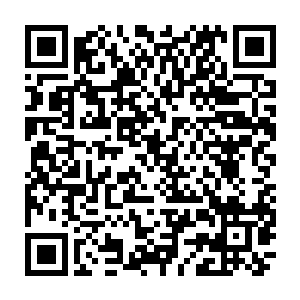 在四连峰地下灵脉处忙碌开掘的宠物们终于把整条灵脉完全挖出来的时候二维码生成