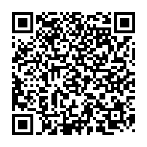 在圆形的城池的内部的核心之地则是再一次出现了一堵方正的内墙二维码生成