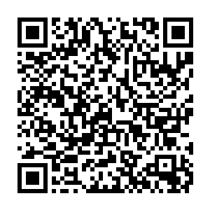 在地上疼的无法站立起来的耿家成和他的下属在看到来人之后眼里一片死灰二维码生成