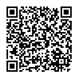 在地球上是商业吸血鬼跟现实吸血鬼的某人彻底见识了什么叫漫天要价二维码生成