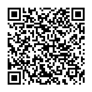 在地球那五百年几乎几天就跟梵蒂冈还有黑暗教廷并且其他血族猎人组织激斗二维码生成