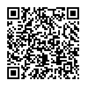 在场众人身上的伤势也在万能药和懒惰等人的双重治疗下几近痊愈二维码生成