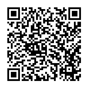 在场的全部物品比赛之前全部由超过三位价值核算员参考市场价值确定价格二维码生成