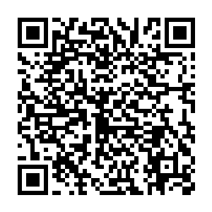 在场的这些家伙可全都对这位海豚一族的美丽小公主非常的爱慕的二维码生成