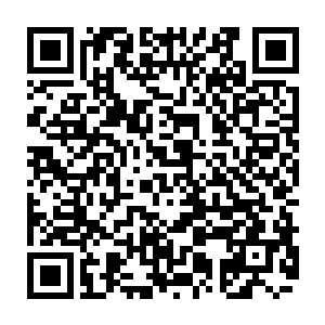 在场竞拍的众富豪们闻言忍不住一阵哄堂大笑……纷纷看着江少游不住摇头二维码生成