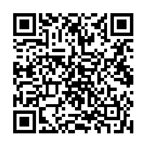 在坐标被显示出之前就主动进击的家伙为数并不算少二维码生成