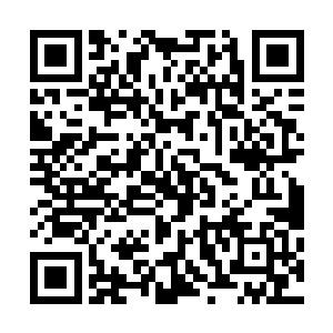 在墨府内修建了第七座气势恢宏的宫殿作为沈剑的修炼之地二维码生成