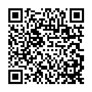 在外界一截手指粗细大小的不朽木都足以令无数的强者抢破脑袋二维码生成