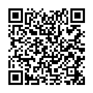 在大厅的中央不知道何时已经放了一条长长的桌子二维码生成