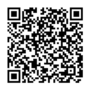 在大家都认为北地的第一天才少女从今往后就会消失在大家的眼界之中的时候二维码生成