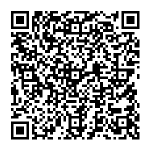 在天空中转圈等动作向一营的战士们传递自己的作战指令――这有点像是蜜蜂之间在传递信息二维码生成