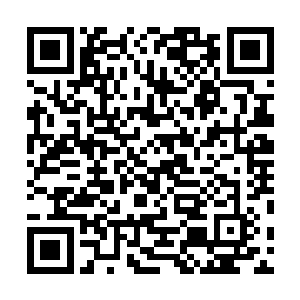 在奈何桥上只是一瞬――无论任何修士沉浸在这个幻象中二维码生成