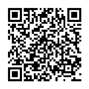 在她所在的混沌区就曾经给他发过成为参议会的议员之一二维码生成