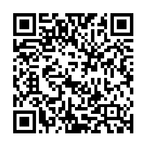 在学院中都是和几个大家族的子弟混迹在一起才敢收取保护费的二维码生成