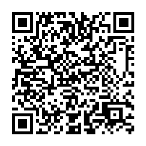 在它们的背后一个小时前上演的惨剧再一次的展现在的众鸟的耳廓之中二维码生成