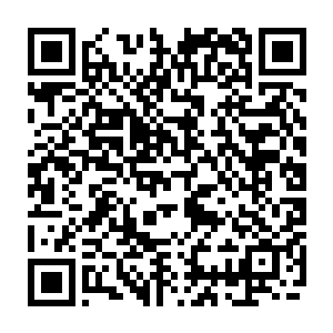 在它拖着流墨墨到蟹眼的时候那几个家伙一上来就各自找了满意地方窝着去了二维码生成