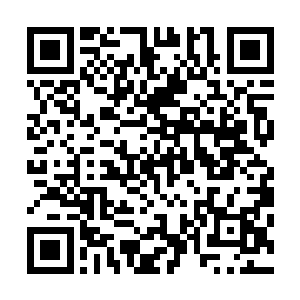 在安排曝光时也从没有问过她和切萨雷到底是什么关系而已二维码生成