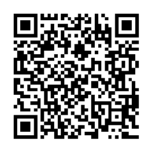 在宫廷的舞会上跟一个贵族家的小姐跳着最传统的古老交谊舞二维码生成
