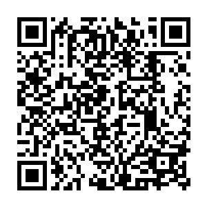 在家里养一条体型超过十米的巨型海洋生物可比鱼缸里养热带鱼难多了二维码生成