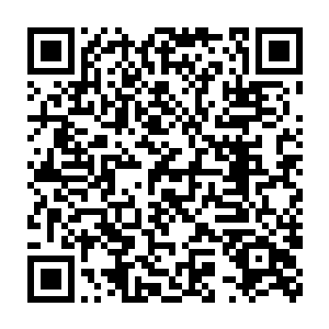 在对比了几个特殊的耳朵点位和几个耳朵部位的形状和几何关系之后二维码生成