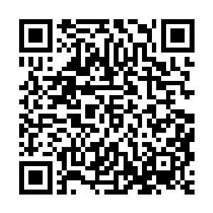 在尊级高手中能够跟你抗衡的就算是寰宇天界恐怕也找不出几个二维码生成