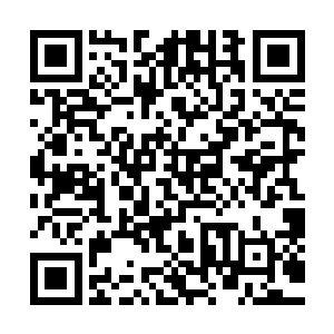 在小蝶的胸口同样有一盏璀璨明亮的古朴灯盏缓缓的亮了起来二维码生成