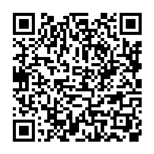 在市国药分公司都压制平凡药业以及司马家和林凡撕破脸皮的情况下二维码生成