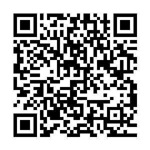 在帝国和圣盟反复拉锯的地方开垦和种植――未必是种植粮食二维码生成