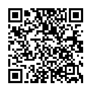 在广州白云机场将策划和组织实施周天子墓文物盗窃案的焦礼二维码生成