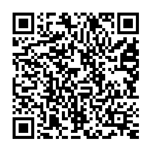 在开发区最大的华海大酒店宴请了今天参加翡翠原石品鉴会的各方宾客二维码生成