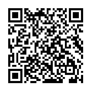 在当时已经优秀得让同辈女演员几乎无法生存的珍妮弗二维码生成