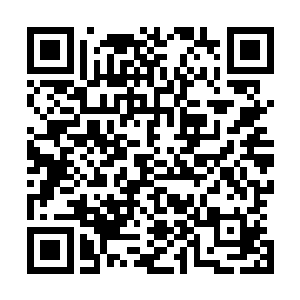 在很早的时候他便觉得阴间和他们这一脉似乎是有什么渊源二维码生成