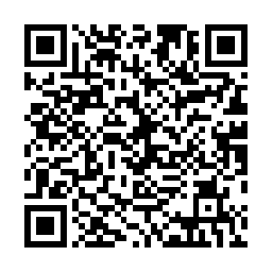 在恶搞事业上一向弟不离哥的杰瑞这回没有参与任何职位二维码生成