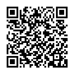 在意到自己都已经火烧眉毛了他们居然不敢用尽全力和他们战斗二维码生成
