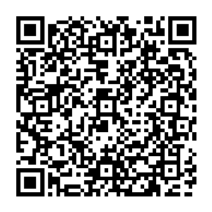 在我刚满二十岁的时候……我又臻至了青云天域也放不下我的地步……于是我就又飞升了二维码生成