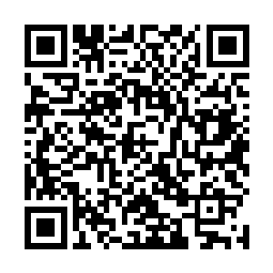 在房间里如同过家家一般的砌出一条小堤坝与排水沟来二维码生成