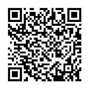 在执行任务的过程中因为自身实力不够最终殒命二维码生成