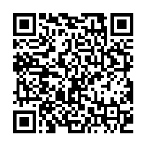 在技术上并非难事就连你不是也曾经在联邦留下过一些生命种子二维码生成