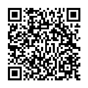 在把一根一根坠着杨梅果的短枝连同青翠的叶片扭断提上来后二维码生成