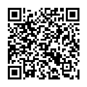 在投鼠忌器之下他们也绝对不敢再对地心世界发起进攻二维码生成