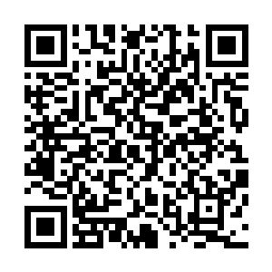 在换成是和曾毅不对付的官员坐上锦衣卫左右监察官的位置二维码生成