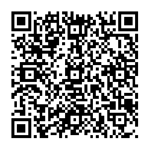 在接下来的两个多小时里龙傲天除了采集到了几块质地一般的矿石之外再也没有任何的收获二维码生成