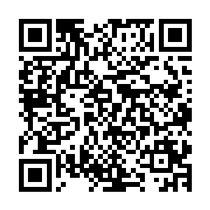 在攻击触碰到阵法的一瞬间并没有预料中的惊天动地的碰撞声二维码生成