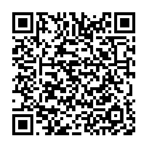 在整个神界之中也是金字塔顶端的存在自然是不会是什么愚钝之辈二维码生成