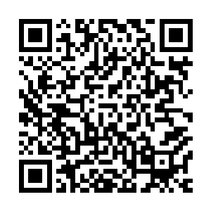 在新仙桃村要弄什么类似迪士尼这样的乐园也是极度不现实的二维码生成