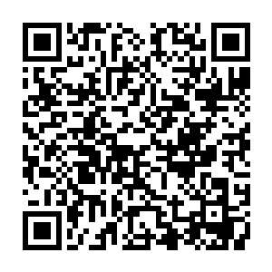 在新任锦衣卫右监察官也就是锦衣卫内文官体系的监察官还没有上任的时候二维码生成