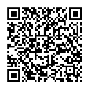 在新闻发布会上卢加诺和法比亚诺都表示这种冲突在训练中时有发生二维码生成