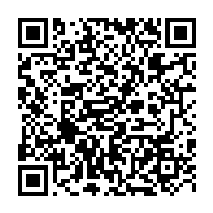 在旁边看的莫修染自问以如今自己的实力想要渡过此劫也要动用全力二维码生成