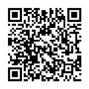 在无尽的孤独中永恒地思念索菲亚……直到你们的到来二维码生成