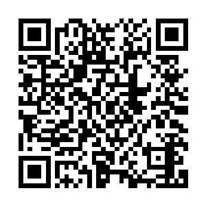 在明年的奥斯卡上要凭着指环王第一部而横扫一切的史密斯张二维码生成